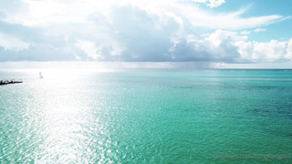 Горячий экшен на острове: дикий секс в тропиках