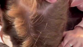 Осторожно, горячее видео – отсос с видом на город