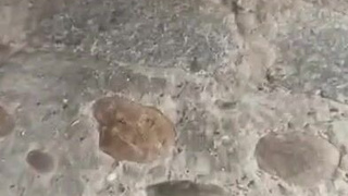 Шокирующий публичный триллер: она сделала это при всех!