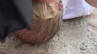 Шокирующий публичный триллер: она сделала это при всех!