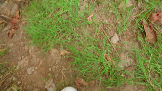 Risky blowjob in the park with cum in the mouth